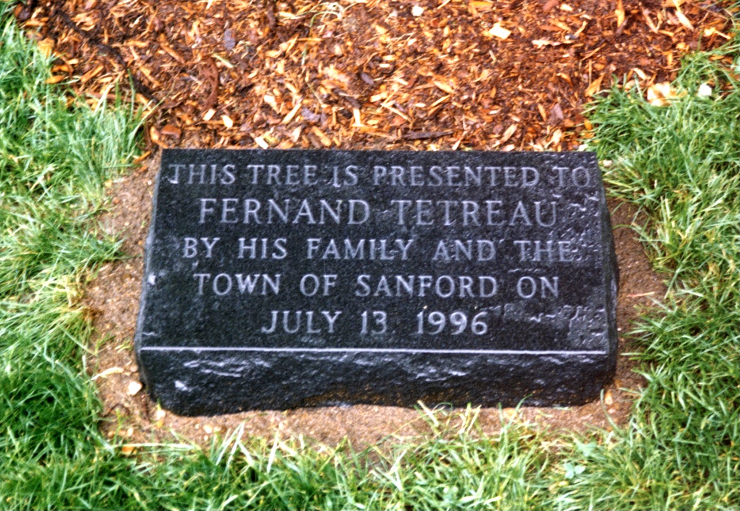 Fern Tree Stone.jpg (531398 bytes)